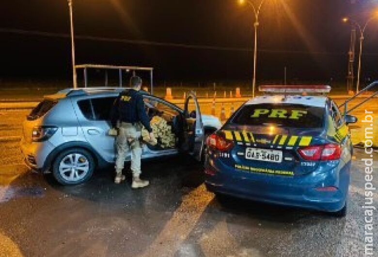 Polícia Rodoviária apreende mais de 700 quilos de maconha na BR-163