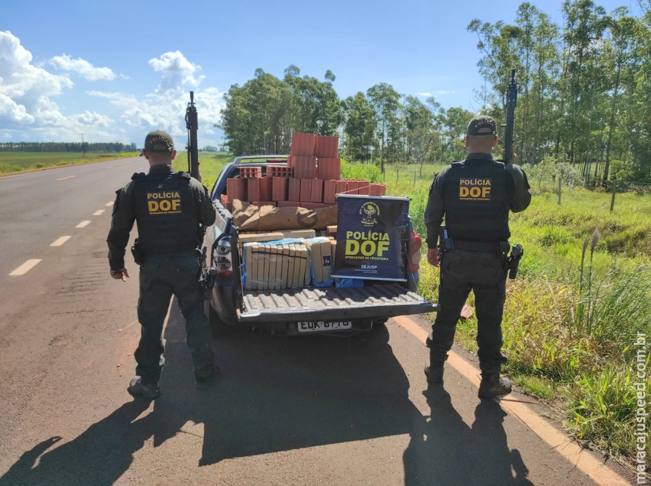 Montana carregada com quase meia tonelada de maconha foi apreendida pelo DOF