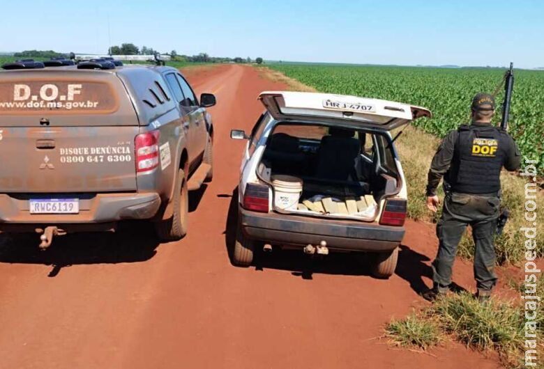 Maconha que seria vendida em Dourados é apreendida em estrada vicinal 