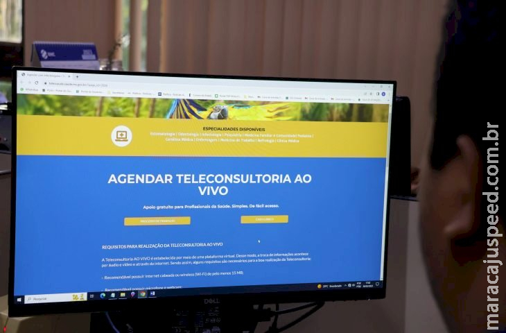 MS oferece teleconsultoria para médicos sobre manejo clínico de pacientes com dengue e chikungunya 