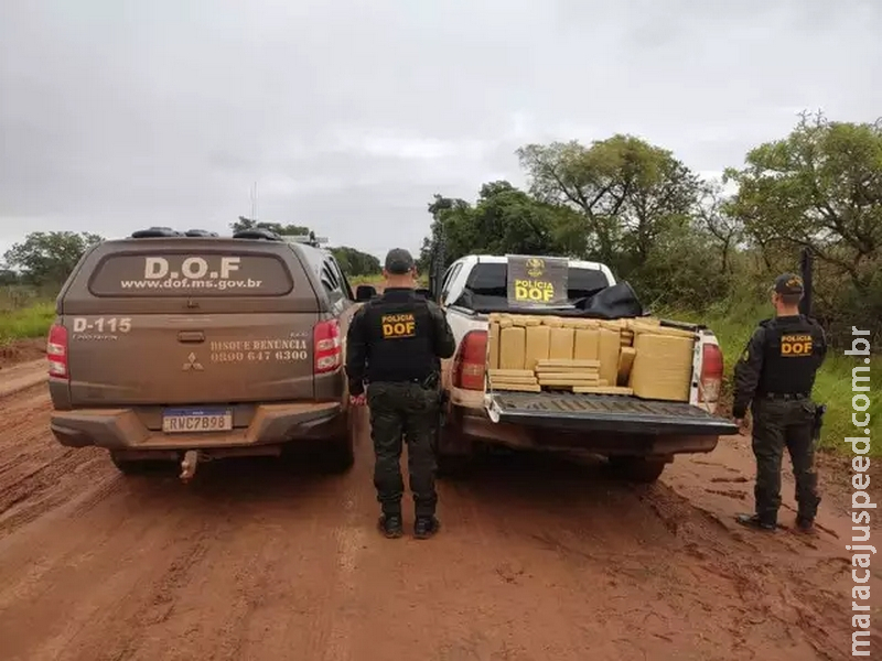 Carga de maconha avaliada em R$ 2,3 milhões é apreendida 