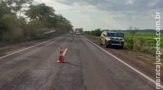 Motorista morre em colisão frontal entre carro e caminhão na BR-262