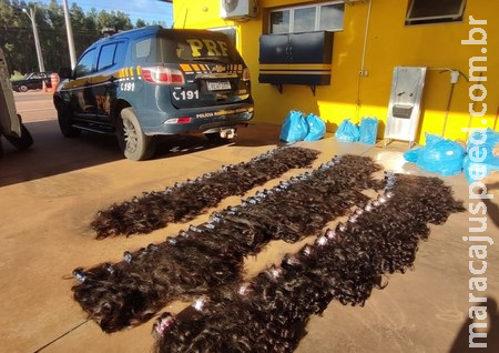 PRF apreende 62 kg de cabelo humano em Brasilândia 