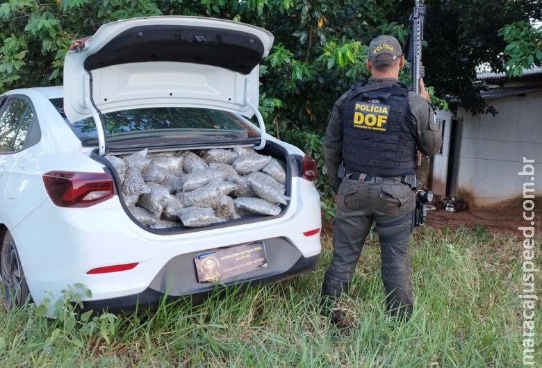 Homem tenta fugir e acaba em barranco com carro lotado de maconha e skunk