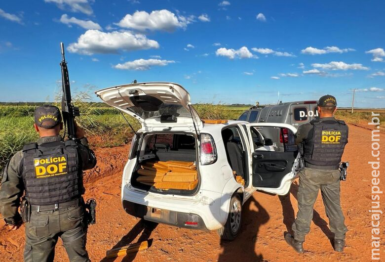 Homem tenta levar maconha até o PR para quitar dívida de agiotagem, é flagrado e preso