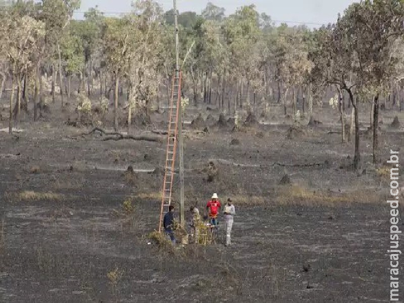 Área queimada do Pantanal pode exceder 2 milhões de hectares até o fim do ano