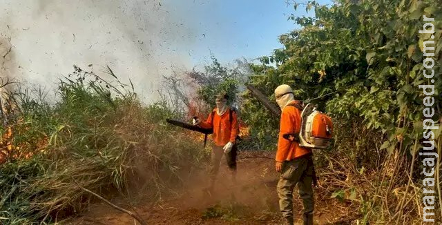 Cerca de 20 fazendas do Pantanal foram incendiadas em um mês