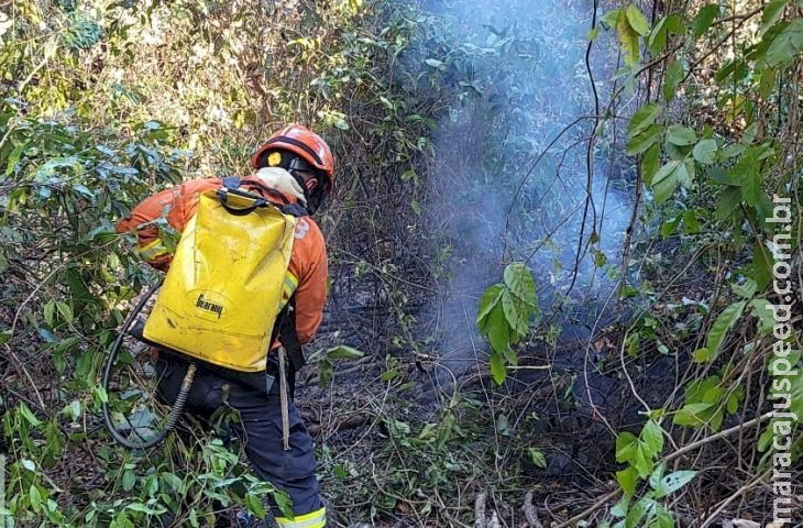 Com incêndios florestais ativos, bombeiros de MS atuam para controlar chamas em diferentes áreas do Pantanal