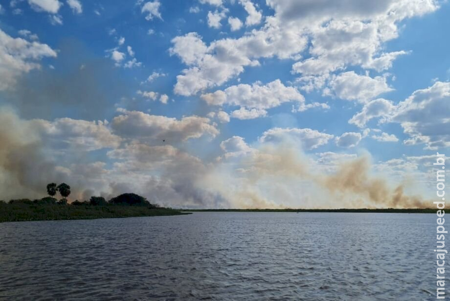 Fogo no Pantanal já queimou 20 mil hectares em uma semana e está descontrolado