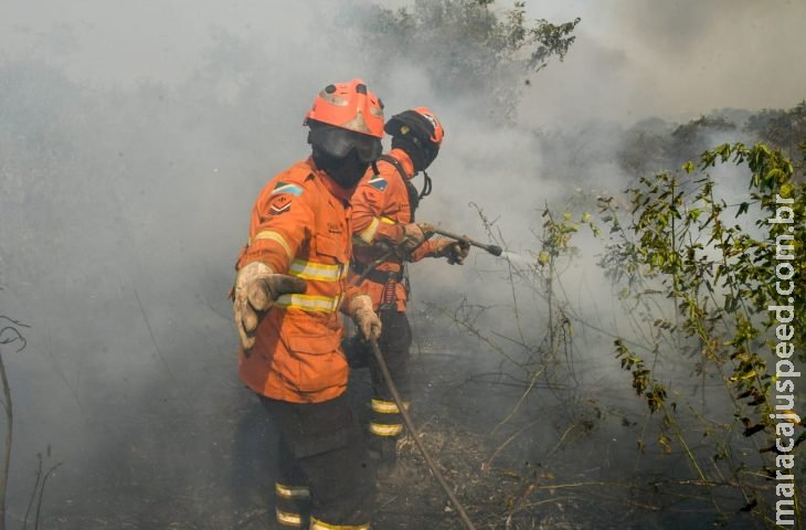 Luta dos Bombeiros contra o fogo no Pantanal é contínua e emociona quem é salvo das chamas