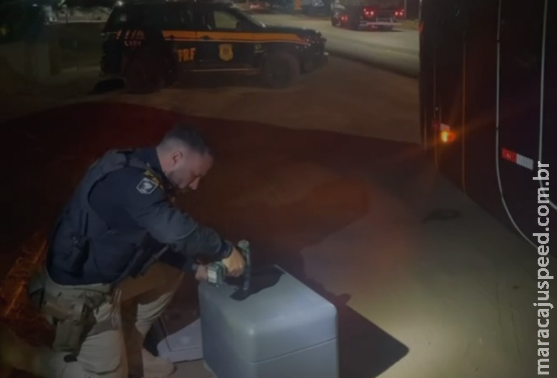 Mulher é presa transportando maconha em caixa térmica dentro de ônibus