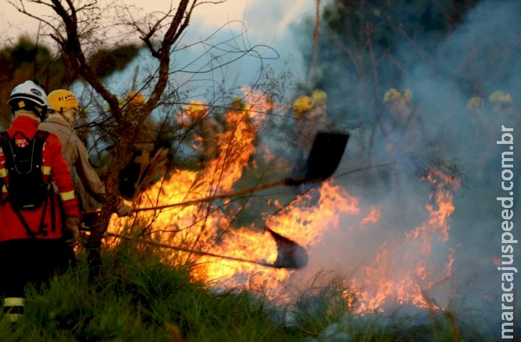 Treinamento de combate ao fogo qualifica novos soldados dos Bombeiros para atuar em incêndios florestais