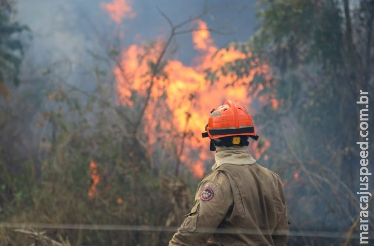 Operação Pantanal: bombeiros do MS lutam para conter grandes chamas na região do Nabileque