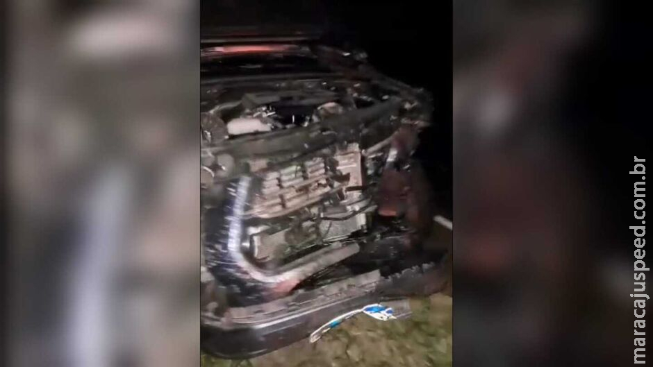 Anta é atropelada e caminhonete fica com a frente destruída na BR-060, em Jardim