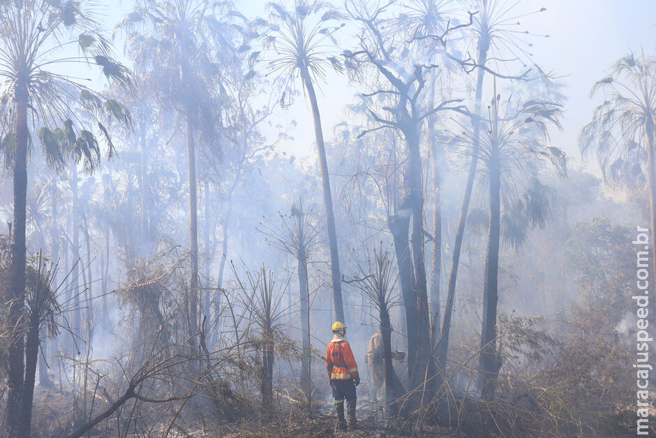 Após 101 dias de operação, Governo de MS anuncia fim dos focos de incêndios no Pantanal