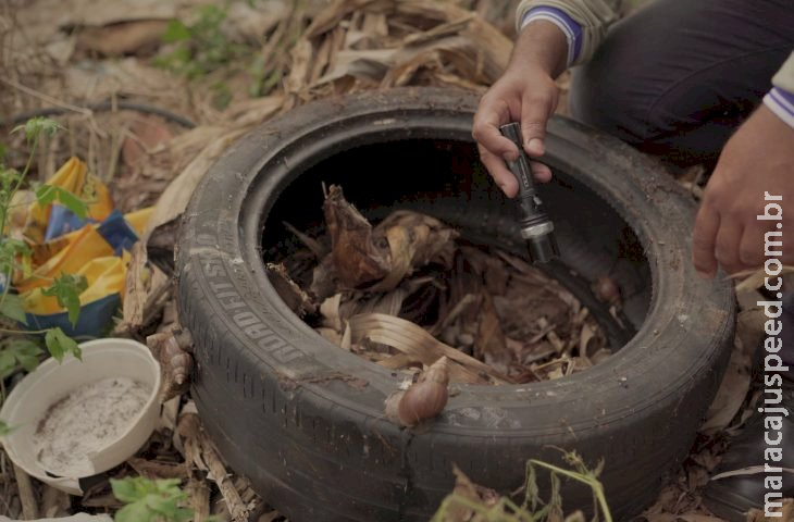 Boletim Epidemiológico: MS registra 15.101 casos confirmados de dengue