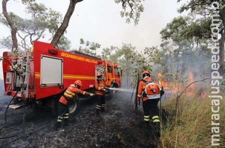 Combate aos incêndios florestais no Pantanal conta com ‘reforço’ de garoa e queda na temperatura