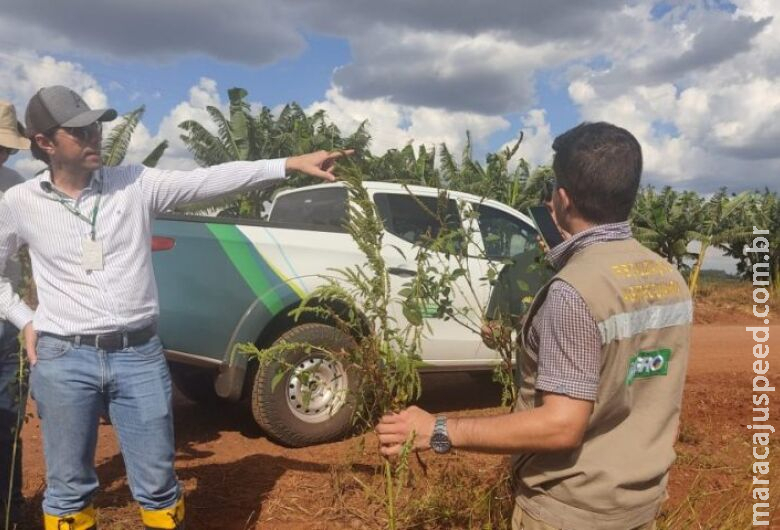 Concurso do Iagro segue com inscrições abertas em MS