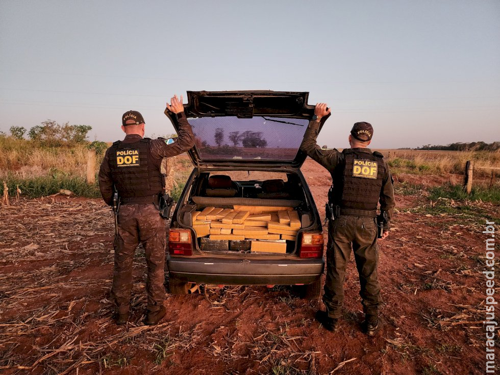 DOF prende homem e apreende mais de 160 quilos de drogas na MS-156 em Caarapó