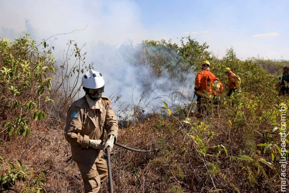 Estado receberá 40 bombeiros de três estados para ajudar a combater incêndios no Pantanal