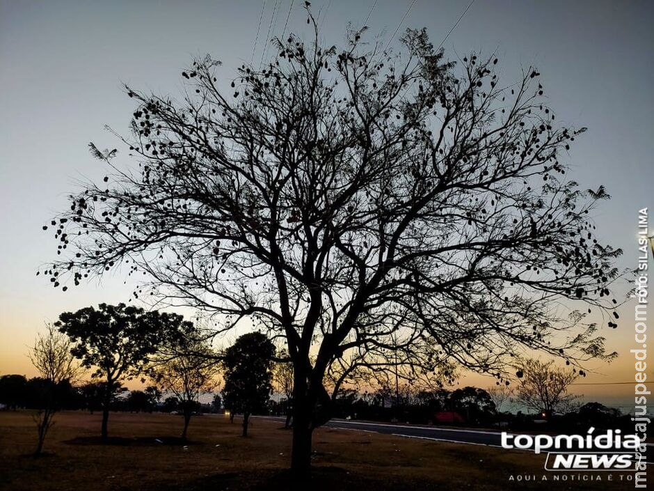 Frente fria reduz temperaturas, mas calor já deve voltar em MS