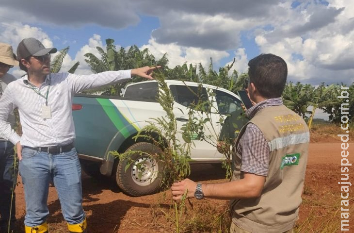 Governo de MS publica abertura de concurso da Iagro com 29 vagas para médico veterinário