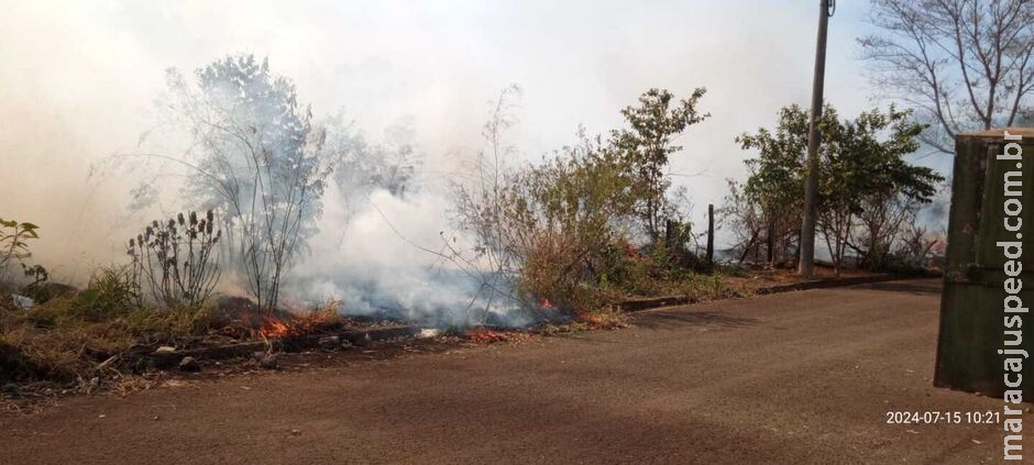 Incêndio gigantesco assusta moradores na Vila Fernanda