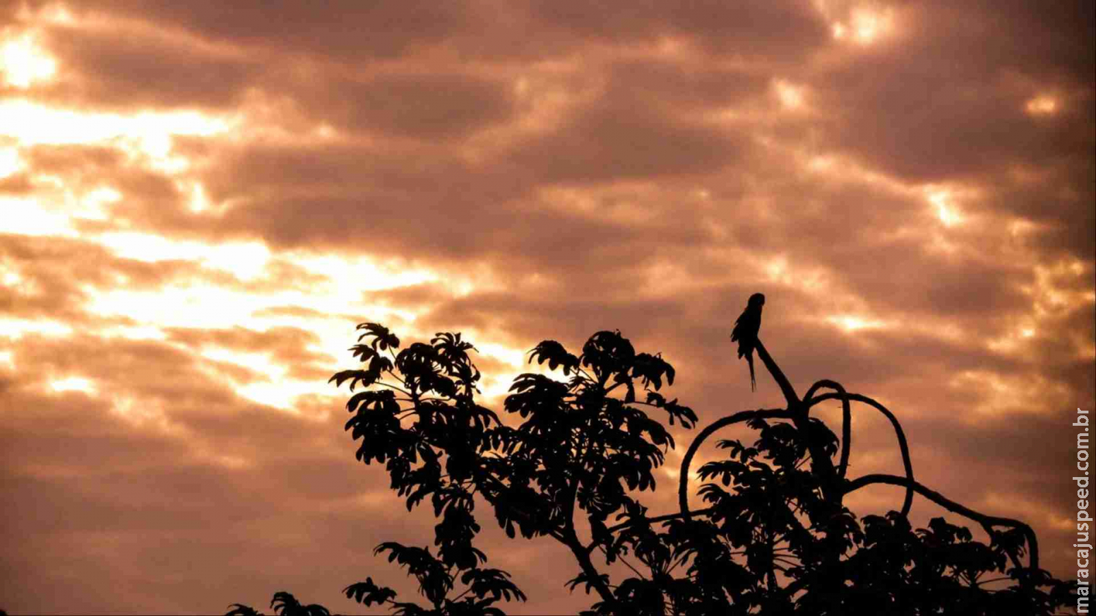 Inmet renova alerta de declínio de temperatura em Mato Grosso do Sul