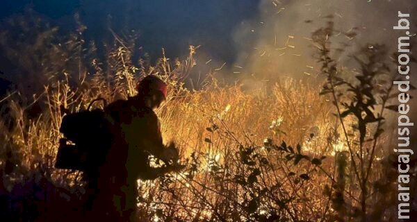 MS chega a período crítico da seca com ação integrada para combater incêndios no Pantanal