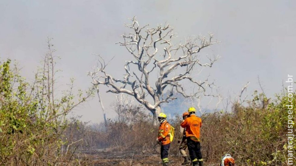 Novo grande incêndio no Pantanal do Porto Maracangalha mobiliza bombeiros