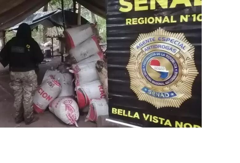 Polícia paraguaia fecha base do tráfico com 6 hectares de maconha