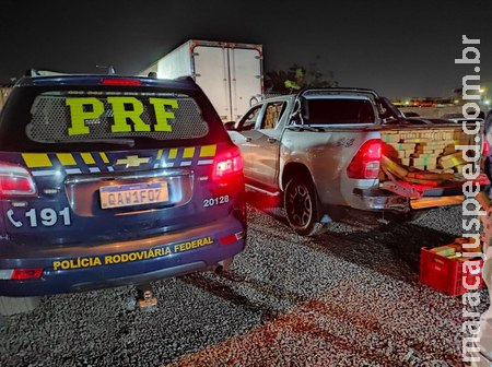 PRF apreende 2 toneladas de maconha em Campo Grande