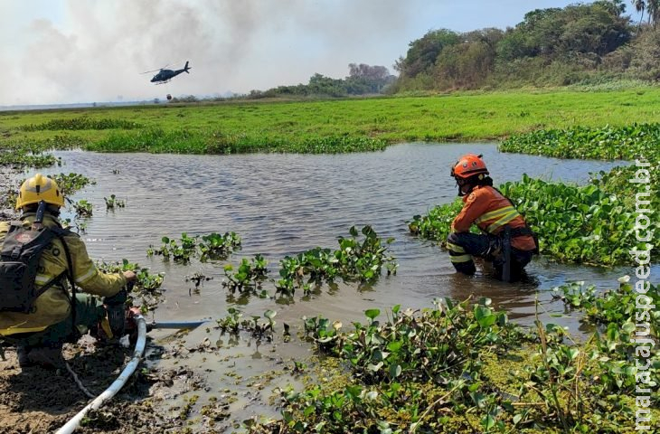 Serra do Amolar, Porto da Manga e Rabicho concentram esforços dos Bombeiros no Pantanal