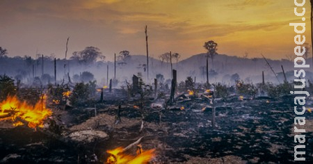 Amazônia enfrenta maior número de focos de incêndio em 17 anos, agravando crise ambiental no Brasil