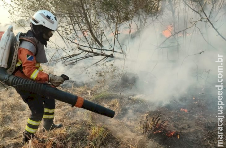 Amor e determinação: mulheres têm papel de destaque no combate aos incêndios no Pantanal