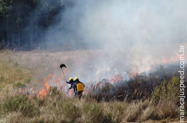 Bombeiros de Santa Catarina também enviam equipe para combate ao fogo no Pantanal