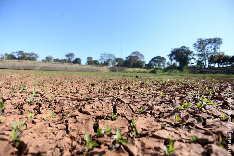 Confira a previsão do tempo para este sábado em algumas regiões de Mato Grosso do Sul