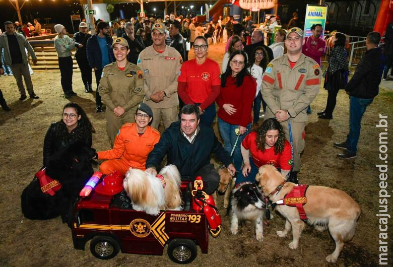 Governo de MS inclui participação de protetores em programa de defesa à vida animal