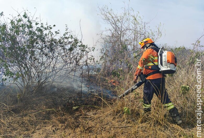 Governo de MS mantém trabalho de extinção das chamas e resgates no Pantanal