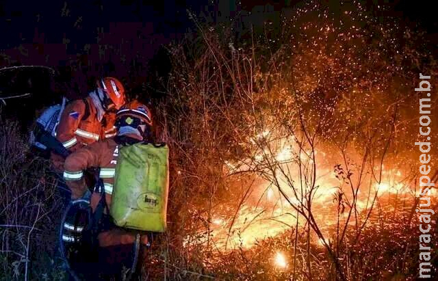 Governos de MS e MT oficializam parceria para preservar o Pantanal