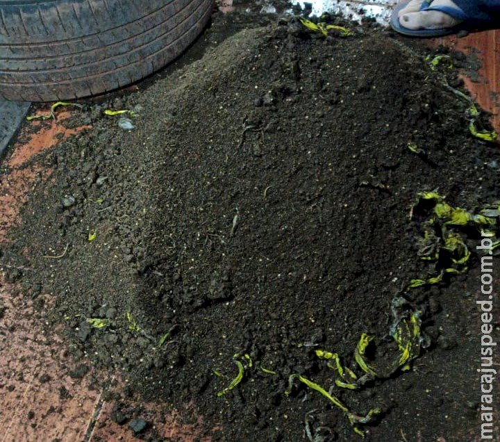 Jovens são flagrados transportando maconha escondida nos pneus de carro em Caarapó e acabam presos pela PRF