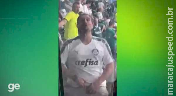 Palmeiras e polícia tentam identificar torcedor que mostrou pênis para uma botafoguense