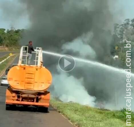 Panela de arroz no fogo provoca incêndio em vegetação