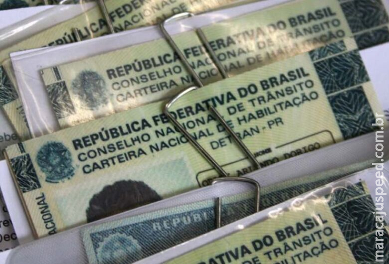 Projeto prevê avaliação psicológica obrigatória para renovar carteira de motorista