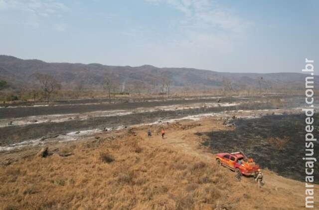 Decreto cria Comitê Nacional de Manejo do Fogo e centro de combate aos incêndios