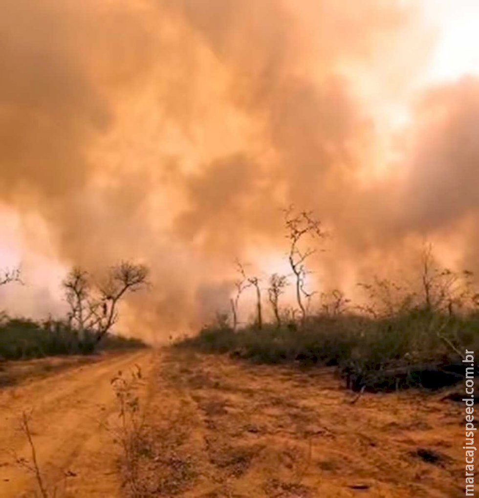 Incêndios florestais devastam o Chaco paraguaio e mobilizam autoridades