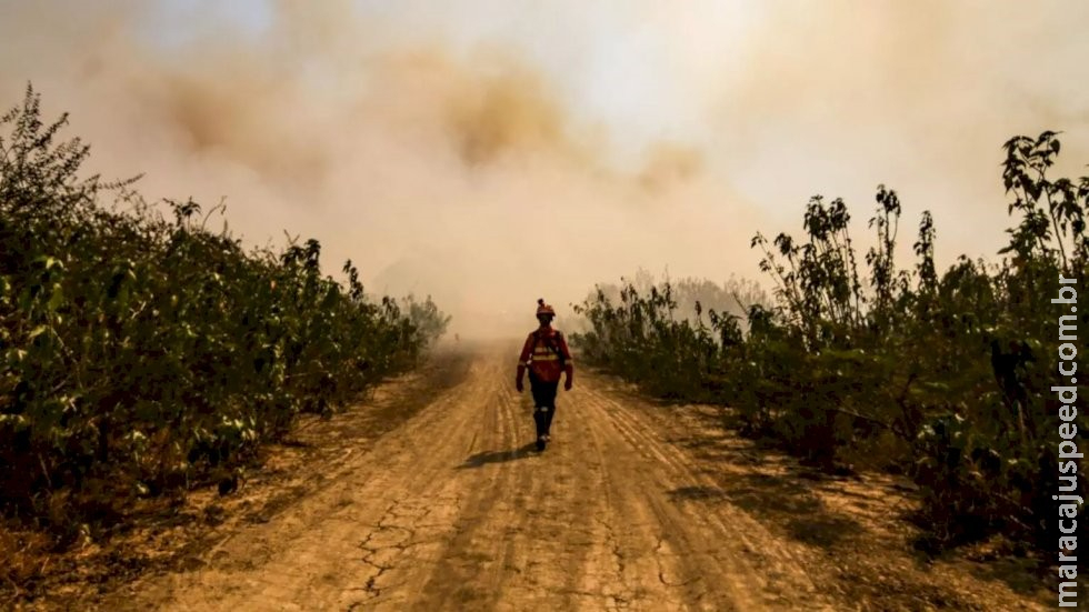 Incêndios já consumiram quase 2 milhões de hectares no Pantanal de MS