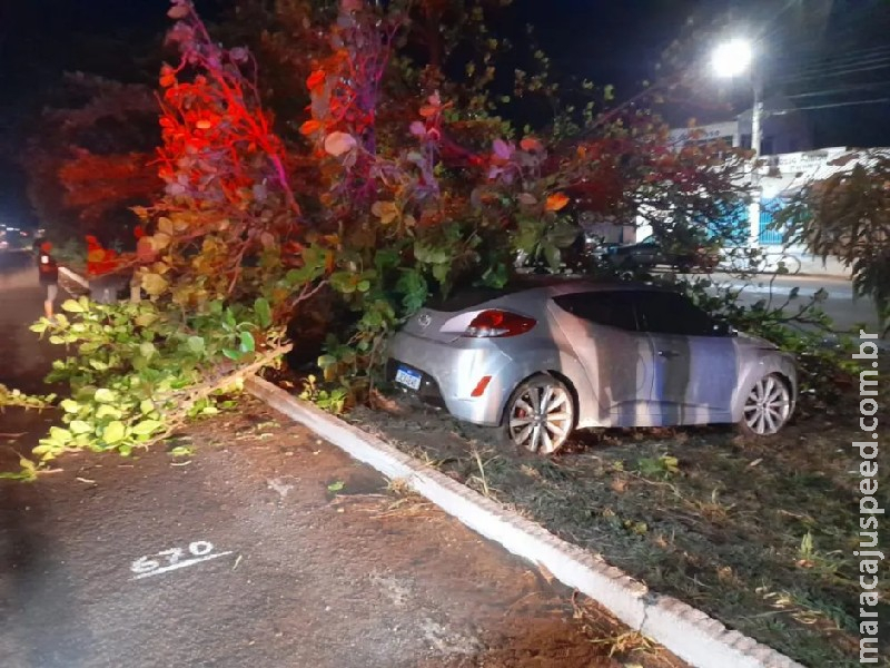 Motorista perde controle de carro e derruba árvore na BR-267, em Bataguassu