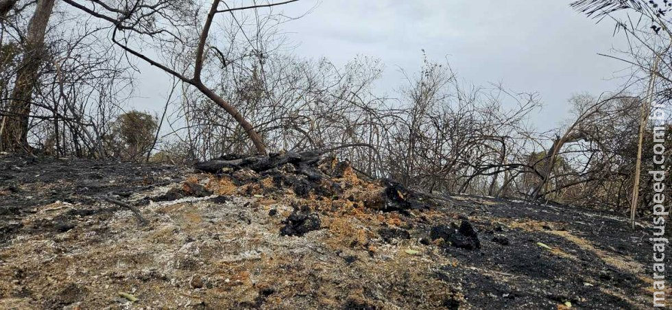 Mudança de cálculo some com 1 milhão de hectares queimados no Pantanal