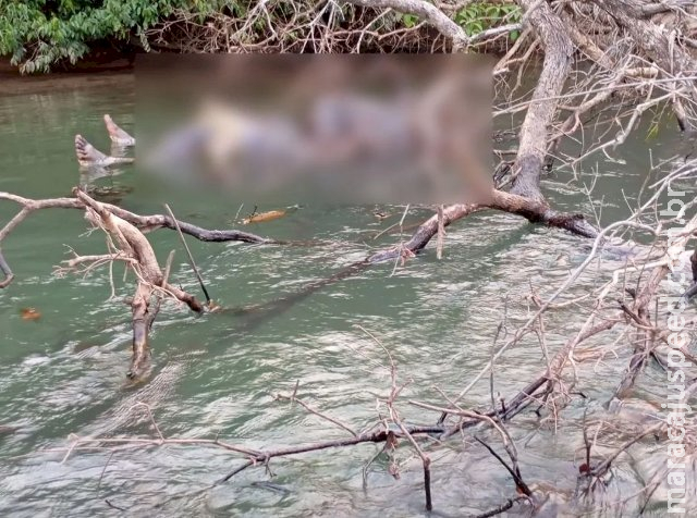 Pescador encontra corpo em estado de decomposição no Rio Verde